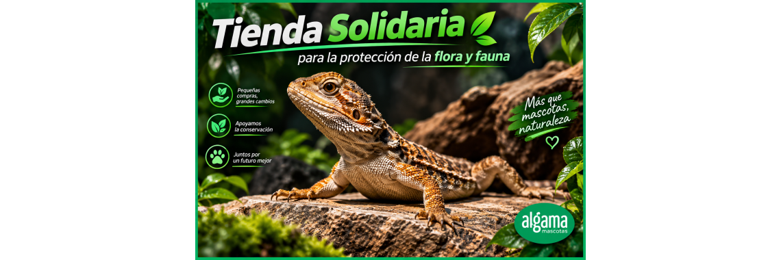 Tienda Solidaria